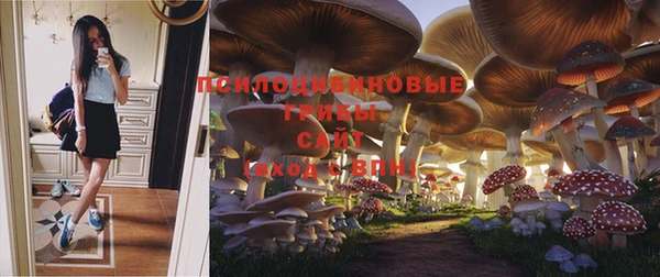 круглые Арсеньев
