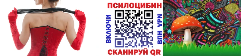 Псилоцибиновые грибы GOLDEN TEACHER  купить наркотики цена  блэк спрут tor  Балтийск 